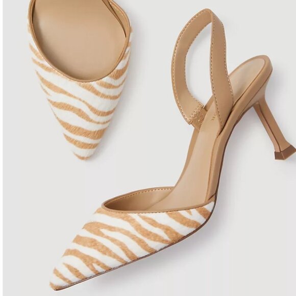 Ann Taylor Shoes - Ann Taylor Marta Zebra Print Haircalf Slingback Pumps
